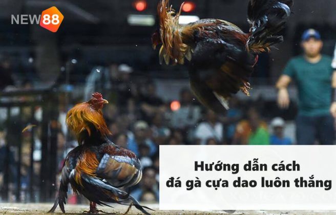 Trang bị kiến thức